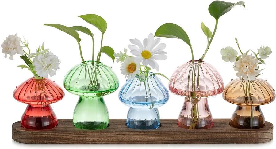 Glasseam Mushroom Vase Propagation Station: Kleine glazen vazen ​​met houten standaard Mini glazen vazen ​​kleurrijk voor binnen woonkamer kantoor tafel plankdecoratie Mooie bloemenvazen ​​set van 5 voor planten hydrocultuur