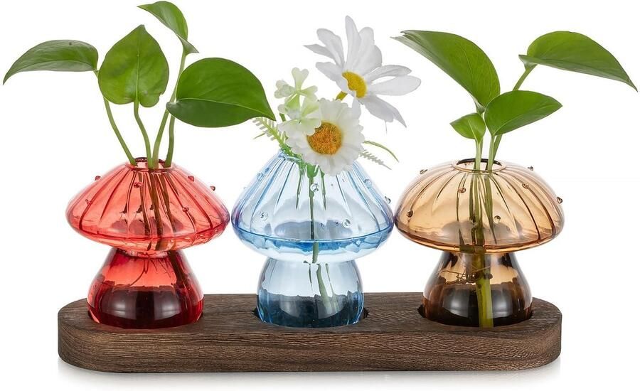 Glasseam Mushroom Vase Propagation Station: Kleine glazen vazen ​​met houten standaard Mini glazen vazen ​​kleurrijk voor binnen woonkamer kantoor tafel plankdecoratie Mooie bloemenvazen ​​set van 3 voor planten hydrocultuur