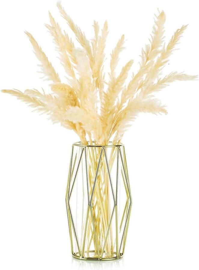 Glazen bloemenvaas goud Kleine vaas voor pampasgras met metalen rek Woonkamer eettafel decoratie Bruiloft bloemstuk Hydrocultuur