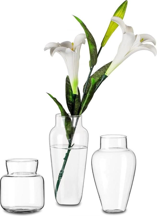 Glazen Bloemenvaas Set Van 3 Handgemaakt Doorzichtig Wijde Hals Woonkamer Decoratie Flesvaas Bruiloft Decor Eettafel Middelpunt Pampasgras Kunstmatig Ruikerboeket Rose