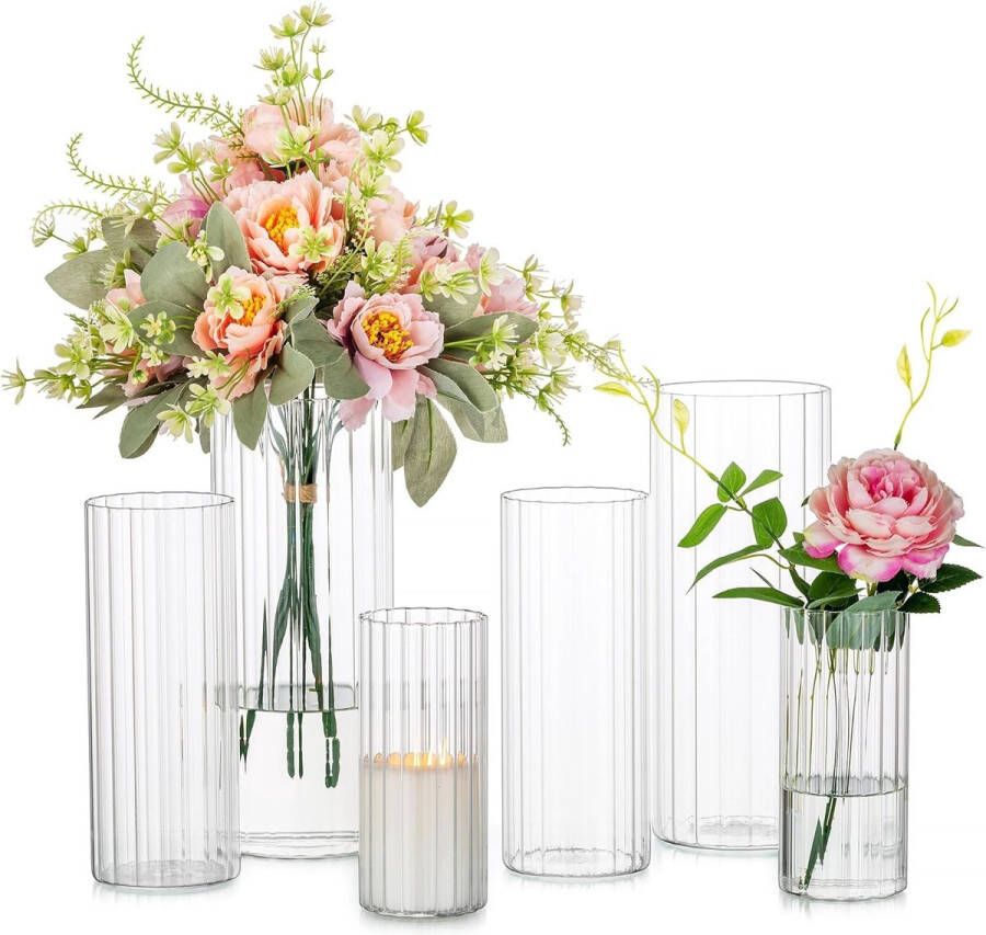 Glazen cilinder glazen vaas windlicht glas met bodem 6 stuks kaarsenstandaard cilinder voor stompkaarsen drijvende kaarsen bloemen pampasgras vaas voor bruiloft feest eettafel
