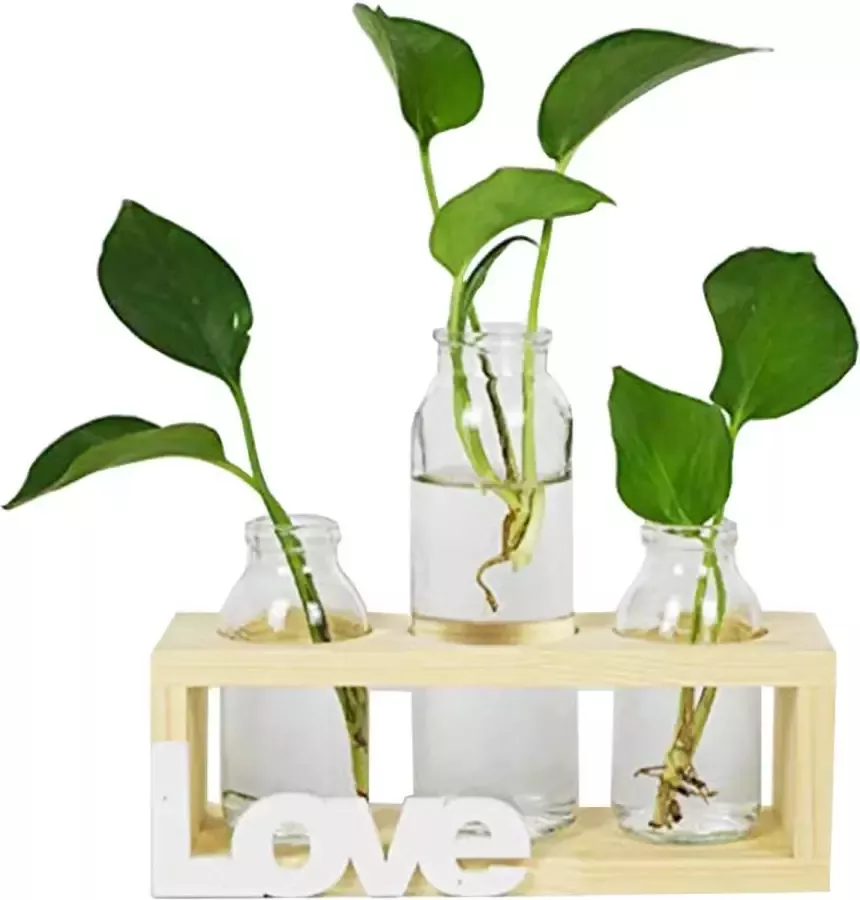 Glazen cilindervazen desktop glazen plantenbak lampvaas met retro massief houten standaard set van 3 decoratief middelpunt voor hydrocultuurplanten huis tuin bruiloft decoratie (3 lamp vazen) (liefde)