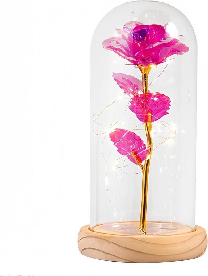 Glazen stolp met houten bodem: 11x15cm transparante bel met houten bodem en lichtketting decoratieve glazen vitrine voor rozen en poppen