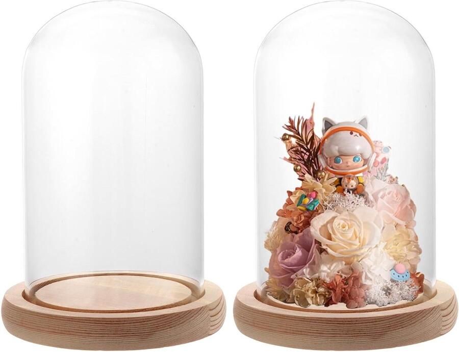 Glazen stolp met houten bodem Decoratieve vitrine voor sieraden en bloemen Borosilicaatglas Transparante glazen bel 9 x 15 cm Stofdicht Vitrine voor figuren