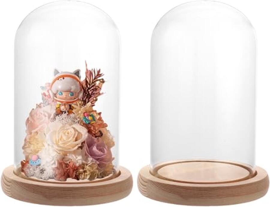 Glazen Stolp met Houten Bodem Decoratieve Vitrine voor Sieraden en Bloemen