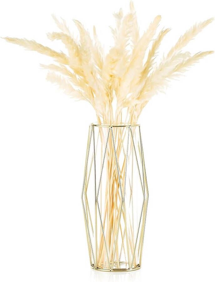 Glazen vaas voor bloemen goud moderne grote vazen voor pampasgras woonkamer eettafel decoratie bruiloft centraal bloemstuk