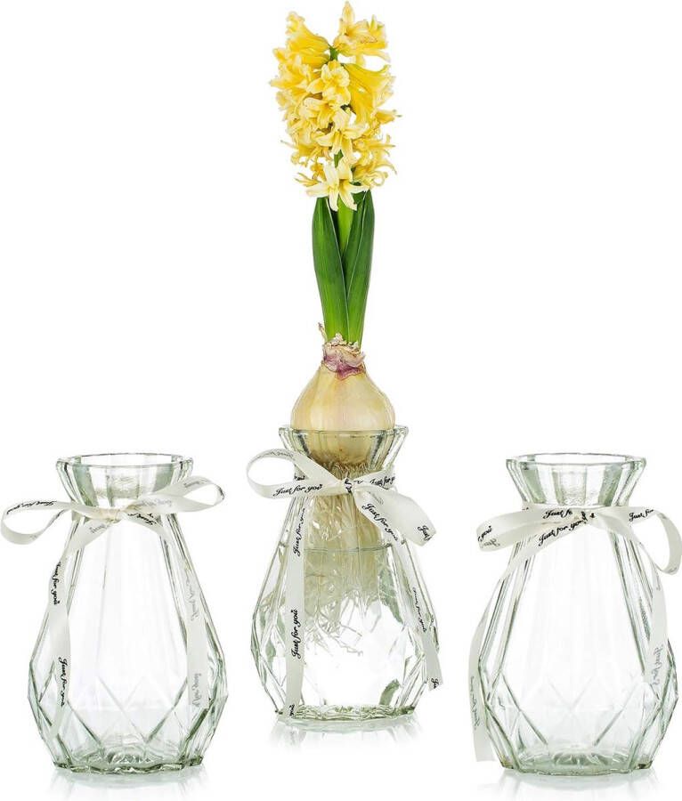 Glazen vazen voor bloemen met zijden touw 3 stuks moderne hyacinten vazen Bud Avocado vaas edelwikkvaas voor hydrocultuur planten narcissen en orchideeën voor op het bureau de vensterbank of binnenshuis