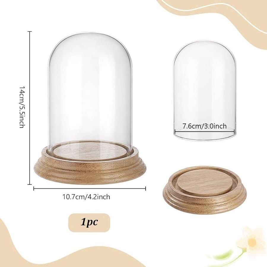 Glazen Vitrine met Houten Voet Elegante Weergave 1 Set Glanzend