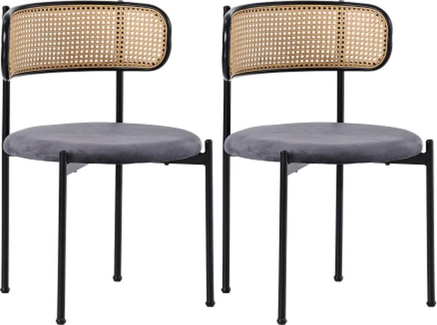 Gotagee Eetkamerstoel set van 2 Rotan vrijetijdsstoel Grijs Fluweel Woonkamerstoel Slaapkamerstoel