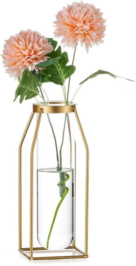 Gouden Frame Glazen Bloemenvaas Set van 2 Moderne Geometrische Kunstvaas voor Planten Woonkamer Eettafel Keuken Badkamer Centrepieces