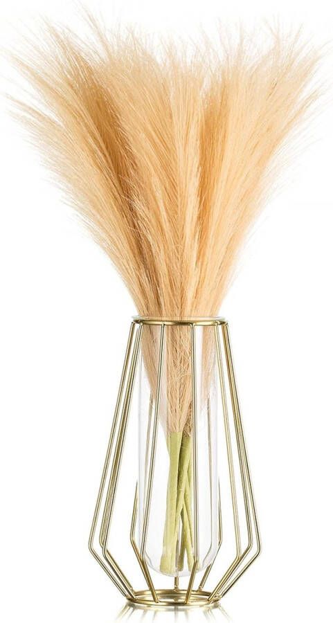 Gouden vaas met reageerbuisje 21 cm hoog moderne geometrische bloemenvazen metalen frame vazen voor tafel decoratieve planten staande vaas voor pampasgras rozen kunstbloemenboeket