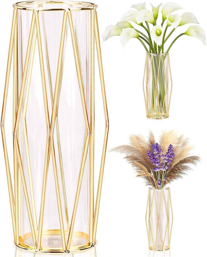 Gouden vazendecoratie voor pampasgras Scandinavische vaas met metalen frame voor bruiloft middelpunt of bureau 28 cm hoog