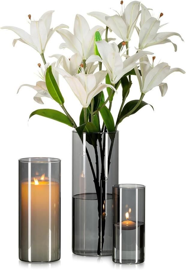 Grijze Grote Glazen Vaas 3pcs Moderne Cilinder Vazen Voor Bloemen Woonkamer Tafel Decoraties Orkaan Vazen Voor Decor Rozen Tulpen Pampa'S Decoratieve Kaarshouders (15 20 25cm)