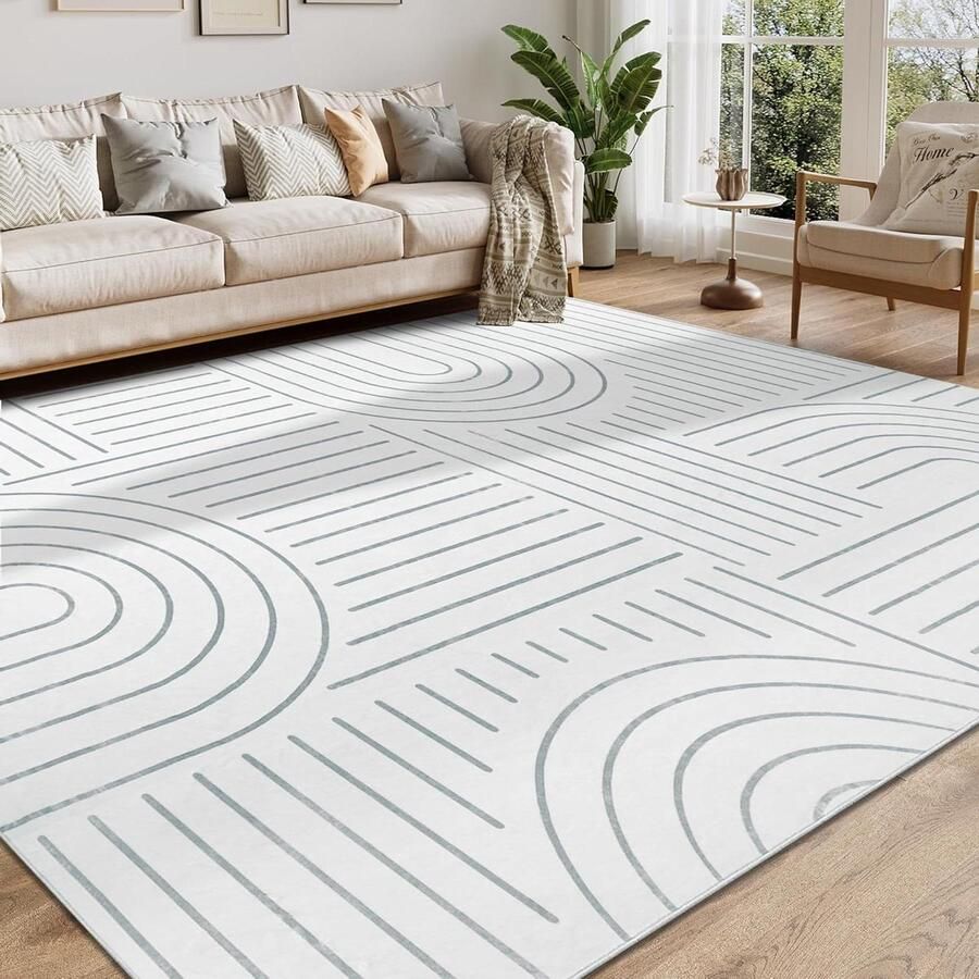 Grote Vloerkleden 200x290 cm Wasbaar Tapijt voor Woonkamer en Slaapkamer Antislip Eetkamerkleed Ultra Dun Grijs Voor Woonkamer Slaapkamer Eetkamer Kinderkamer Zachte Vloerbedekking met Moderne uitstraling