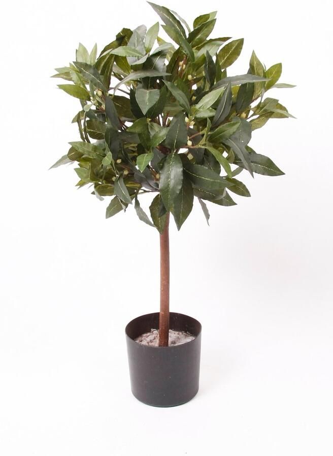 Decostar Countryfield Hanglamp solar LED Giona S naturel