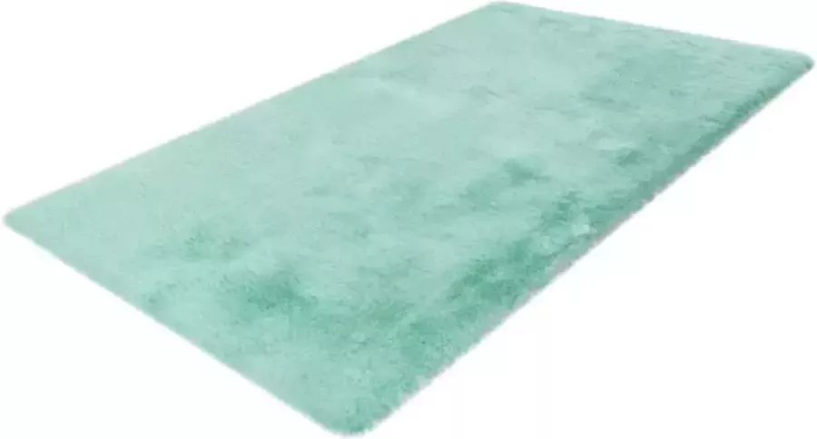 Heaven badmatten superzacht -fluffy 67x110 Mint