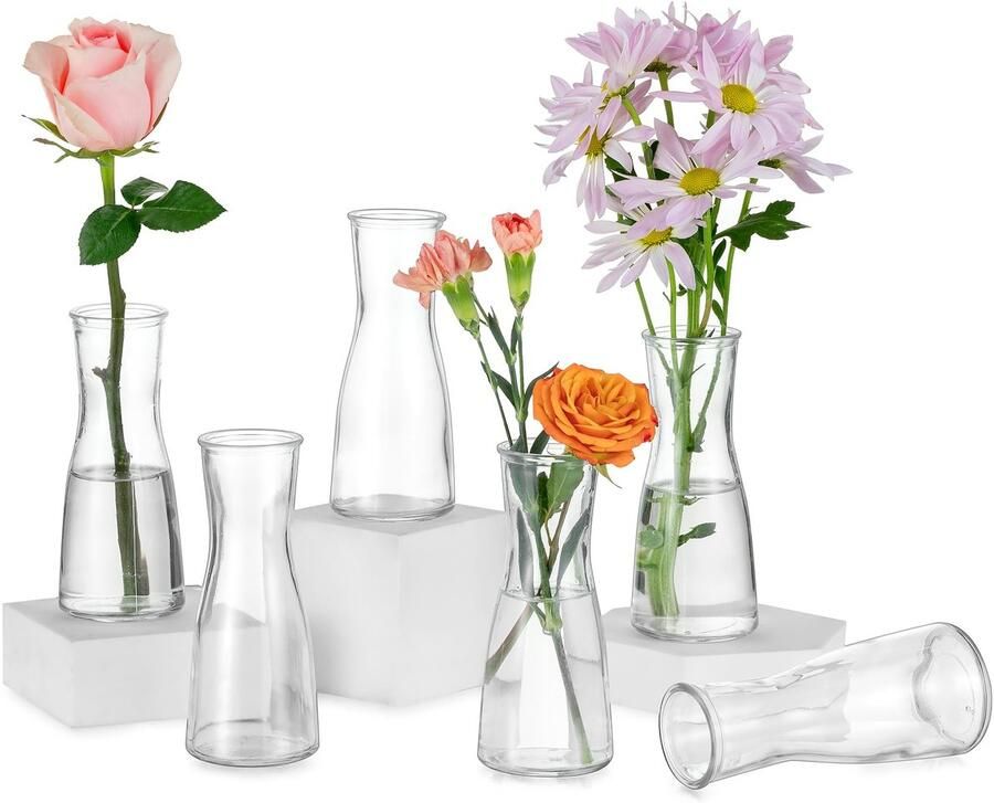 Hewory Kleine Vazen voor Tafeldecoratie Bruiloft: 6 Vazen Glazen Vazen Kleine Tafeldecoratie voor Bruiloft Decoratie Moderne Bloemenvaas Glas Kleine Glazen Vazen Bloemenvaas Smal voor Woonkamer Bruidsfeest Bruiloft Eettafel