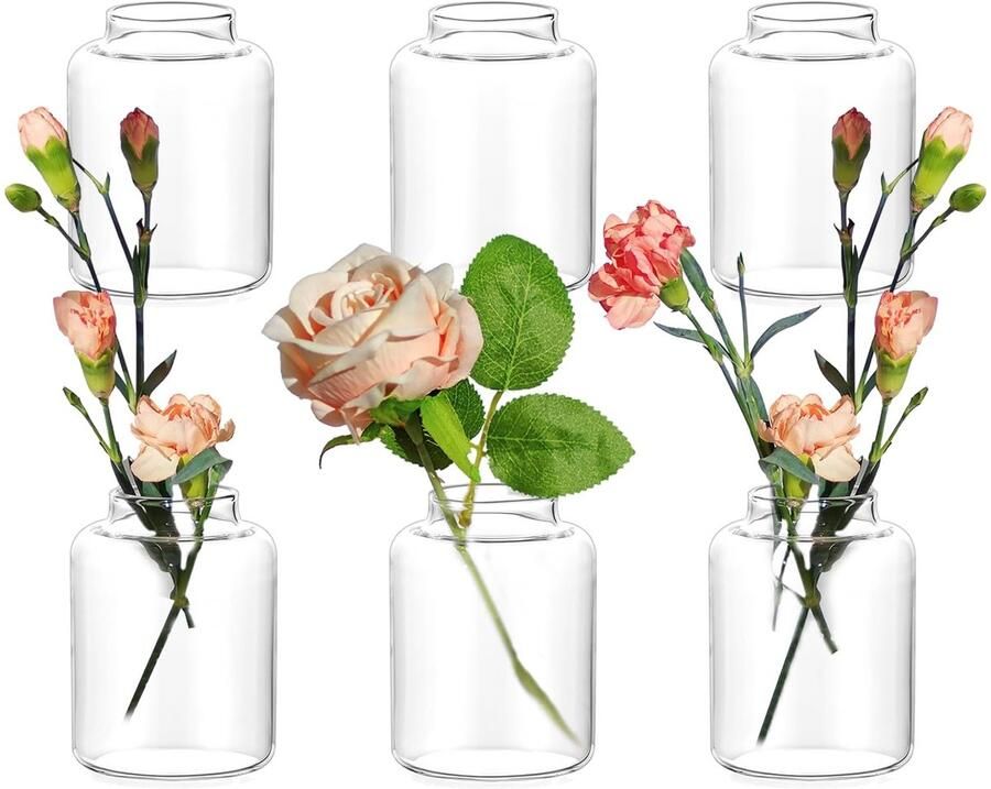 Hewory Kleine Vazen voor Tafeldecoratie Bruiloft: Set van 6 Mini Vazen Kleine Glazen Vazen voor Bruiloftdecoratie Schattige Bloemenvaas Moderne Vaas Glazen Bloemenvaas voor Bruidsdouche Bruiloft Huisdecoratie Woonkamer Eettafel