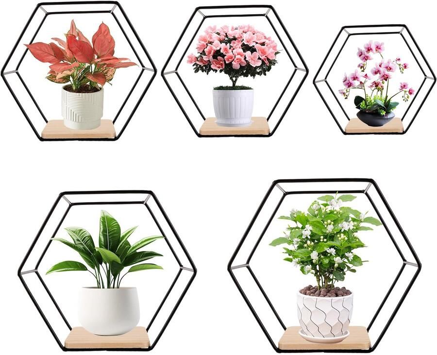 Hexagon Wall Shelf Black Metal Set of 5 Wall Hanging Shelves Loft Wall Shelves Black for Living Room Bedroom Bathroom Cafe Hotel