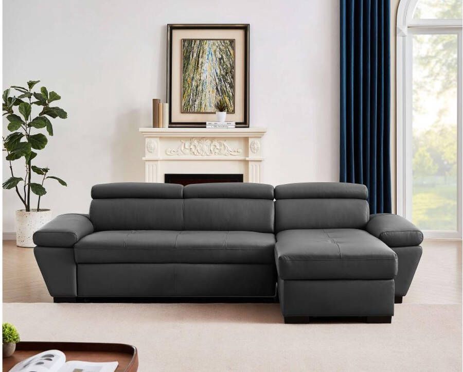 LINEA SOFA Hoekbank JONOVA Leer Grijs Hoek rechts L 256 cm x H 83 cm x D 154 cm - Foto 4