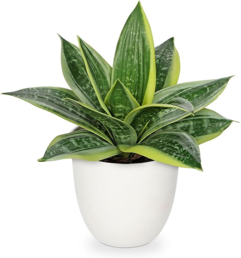 Hollyone Kunstmatige Slangenplant Kamerplant Kunstmatige Sansevieria Klein Nep Decoratieve Plant voor Tafel Thuiskantoor Decoratie Lichtgroen