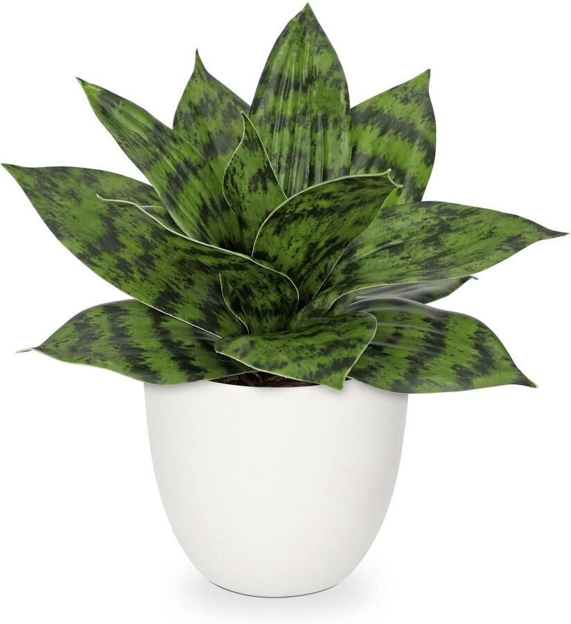 Hollyone Kunstmatige Slangenplant Kamerplant Kunstmatige Sansevieria Klein Nep Decoratieve Plant voor Tafel Thuiskantoor Decoratie Groen