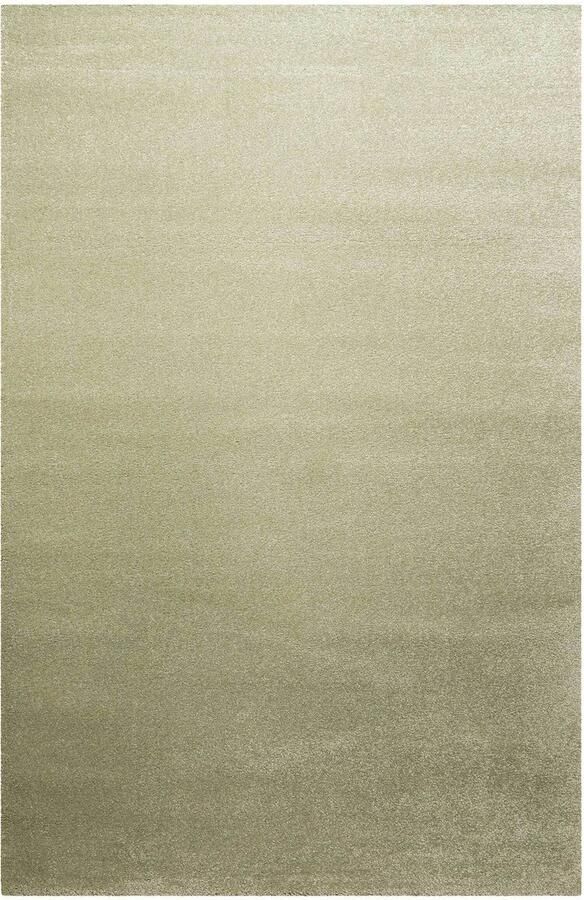 Homie Living Lido Laagpolig vloerkleed 80x150 cm mintgroen