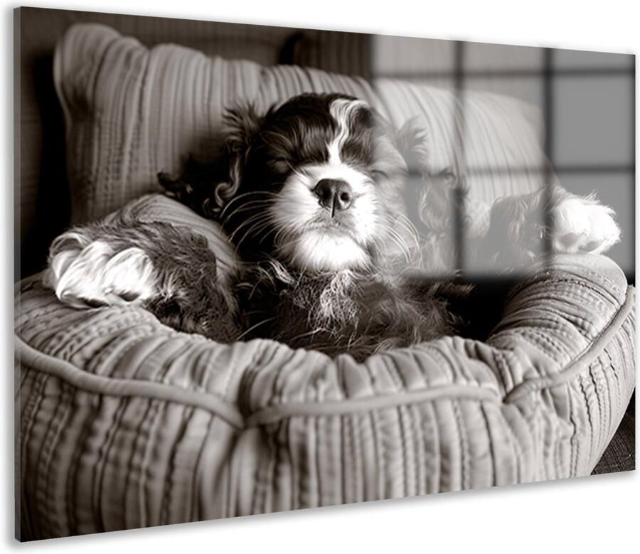 Hond schilderij Dier glas schilderij Bed Muurdecoratie klassiek Schilderij plexiglas Wanddecoratie acrylglas 60x40 cm