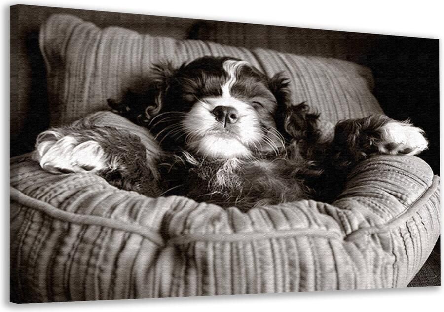 Hond schilderij Dier schilderij Canvas schilderij Bed Schilderij vintage Canvas schilderij Muurdecoratie canvas 150x100 cm
