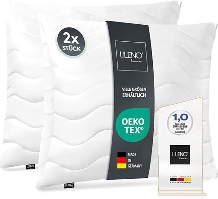 Hoofdkussen 40 x 40 cm Set van 2 Wasbaar en Hypoallergeen Perfect voor Bed en Bank