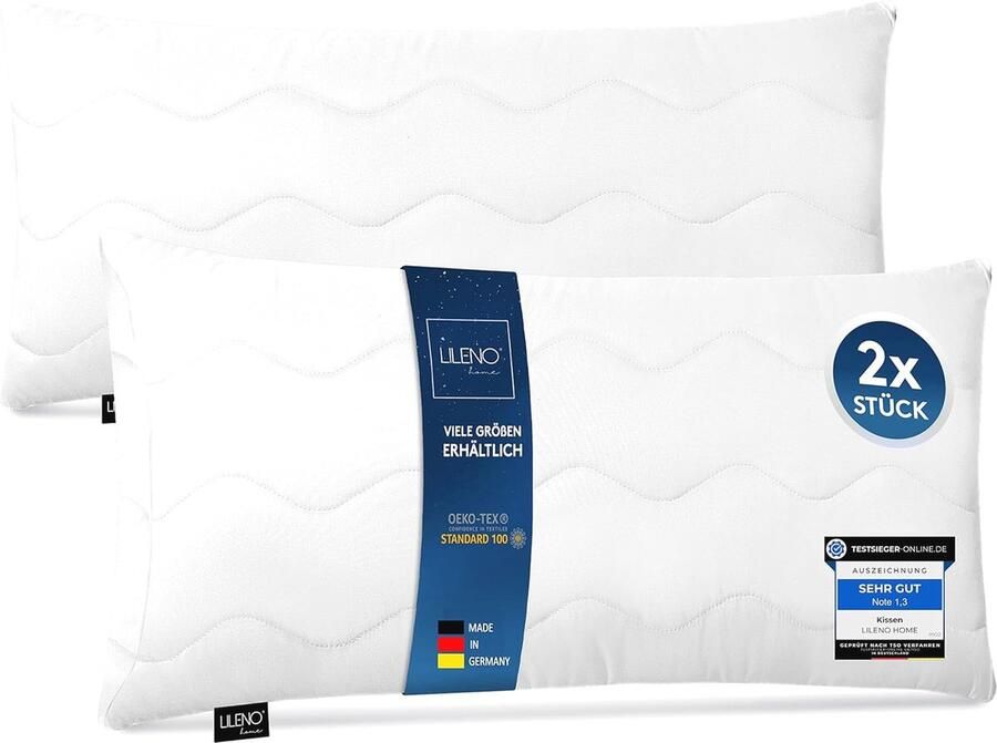 Hoofdkussen 40x80 cm Set van 2 Ergonomisch & Wasbaar tot 95 °C Perfect voor Sofa en Bed