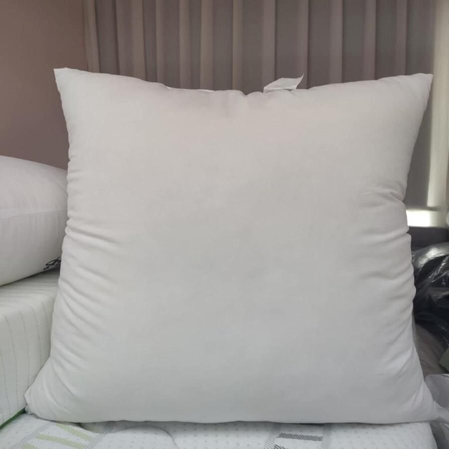 Hoofdkussen 65 x 65 cm 2 stuks groot kussen voor bed volwassenen rechthoekig verkoelend zacht platte kussens slapen woonkamer hotel machinewasbaar