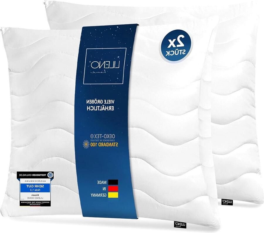 Hoofdkussen 80 x 80 cm set van 2 medium met 850 g kussenvulling wasbaar tot 95 °C sofa-kussen en sierkussen voor bank bed met ritssluiting kussenbeschermer