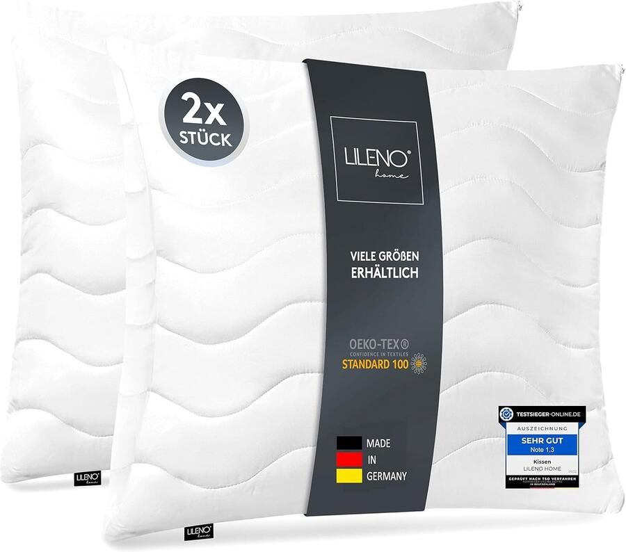 Hoofdkussen Set van 2 40 x 40 cm Wasbaar tot 95°C Geschikt voor Allergieën Aanpasbaar met Ritssluiting Comfortabel Kussen voor Bed en Bank