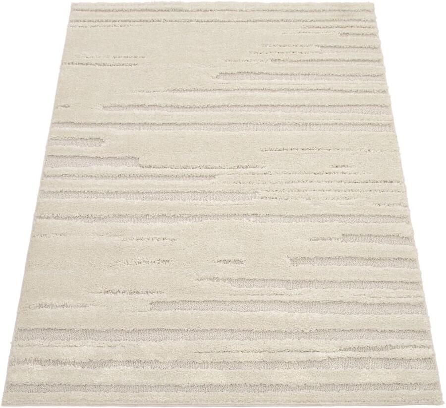 High-Pile Rug – Minimalist Nordic Design – Soft Touch – Durable Polypropylene