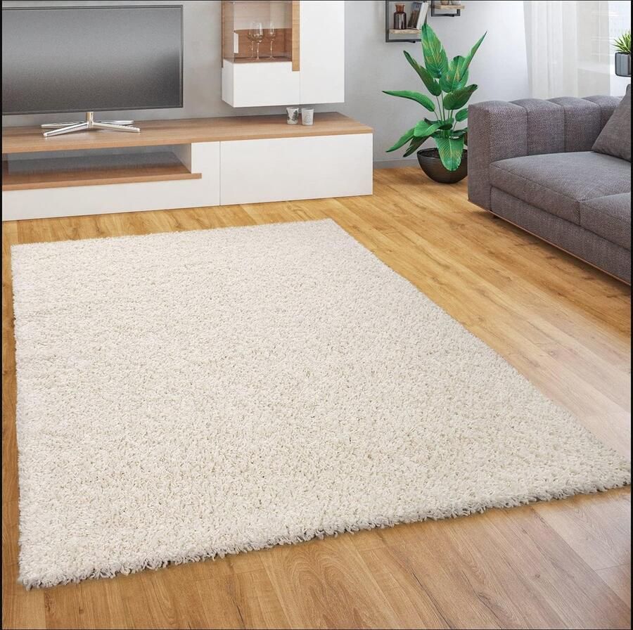 Hoogpolig Vloerkleed voor Woonkamer Zacht en Modern Ivoor (Crème) 160x220 cm