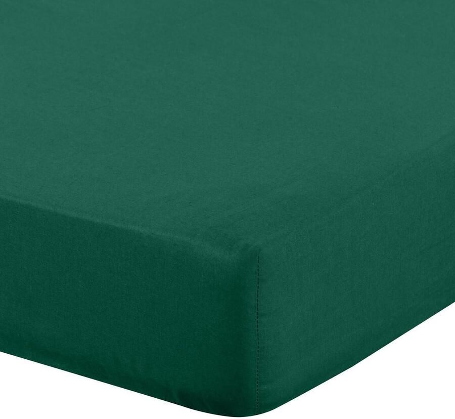 Hoogwaardig Hoeslaken 140 x 200 cm van Katoen met Elastiek voor Dikke Matrassen tot 30 cm Duurzaam en Ademend