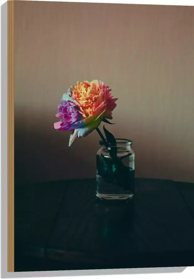 Hout Meerkleurige Roos in Doorzichtig Vaasje op Tafel tegen Bruine Muur 50x75 cm 9 mm dik Foto op Hout (Met Ophangsysteem)