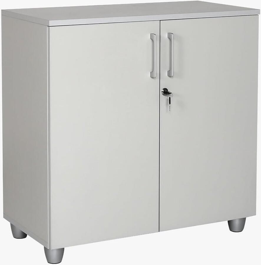 Houten Boekenkast met Slot voor Kantoor en Thuis Verstelbare Planken Grijs 80cm x 80cm x 40cm