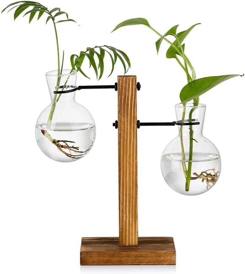Houten Rek 2 Lamp Vintage Avocado Vaas Glazen Reageerbuis Vazen Voor Bloemen Acorn Plant Voor Thuis Tafel Bureau Indoor Decor Voortplanting Station