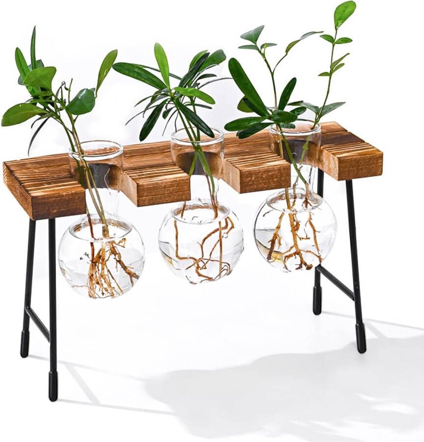 Hydrocultuur glazen vaas hangvaas bloemenvaas tafelvaas luchtplanten terrarium bureau decoratieve vaas met houten houder glazen plant voor kantoor huis tuin decoratie (3 vazen)