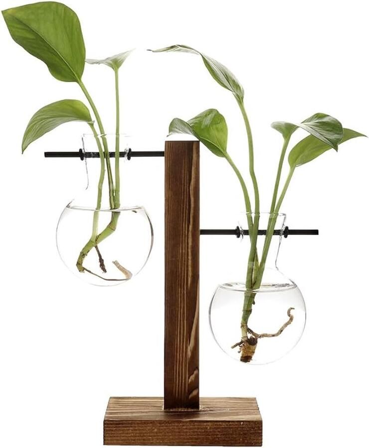 Hydrocultuur Plant Vazen Vintage Bloempot Transparante Vaas Houten Frame Glas Tafelblad Planten Thuis Bonsai Decor Drop Verzending (B 2 Bulb Vaas)