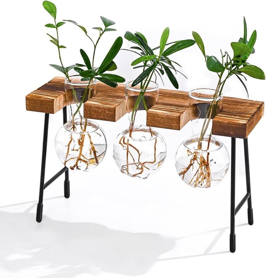 Reageerbuis Vaas Hydrocultuur hangvaas bloemenvaas tafelvaas luchtplanten terrarium bureau decoratieve vaas met houten houder glas plant voor kantoor huis tuin decoratie 3 vazen