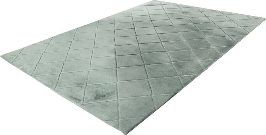 Impulse vloerkleed hoogpolig fluffy superzacht 3D effect tapijt kleed 120x170 groen