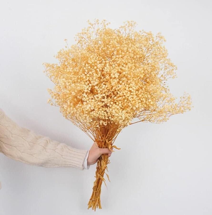 Inovra Plus Droogbloemen boeket met 1500+ witte bloemen Natuurlijke Gypsophila takken voor bruiloft en huisdecoratie DIY krans arrangement Tafel en vaas decoratie