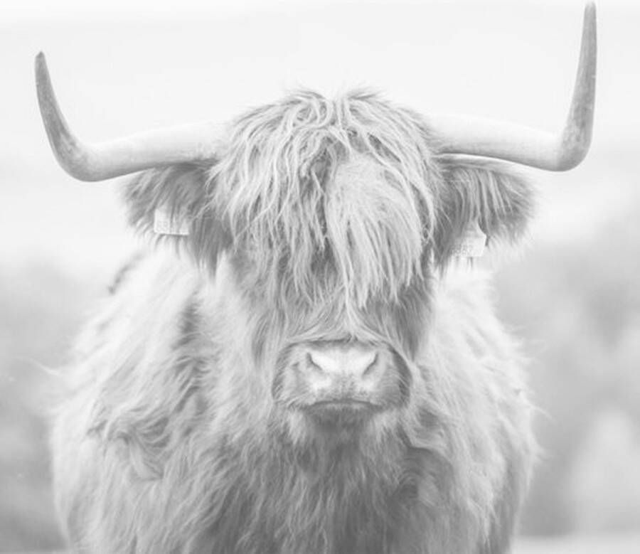 Homestylingshop Kabinet kast Daan Kabinet kast mangohout Vakkenka… - Foto 4