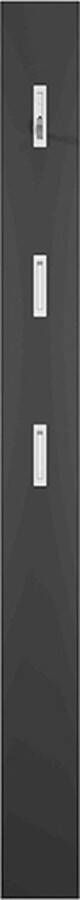 Kapstokpaneel Colori Mat Grafiet MDF 3 haken Breedte 15 cm Diepte 4 cm Hoogte 170 cm - Foto 1