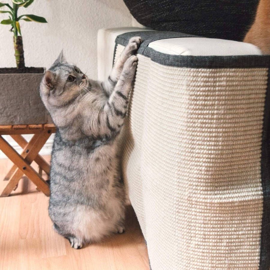 katten krabmat Bescherming van meubels Voor banken en stoelen Krabbescherming Voor de rechterkant Lichtbruin