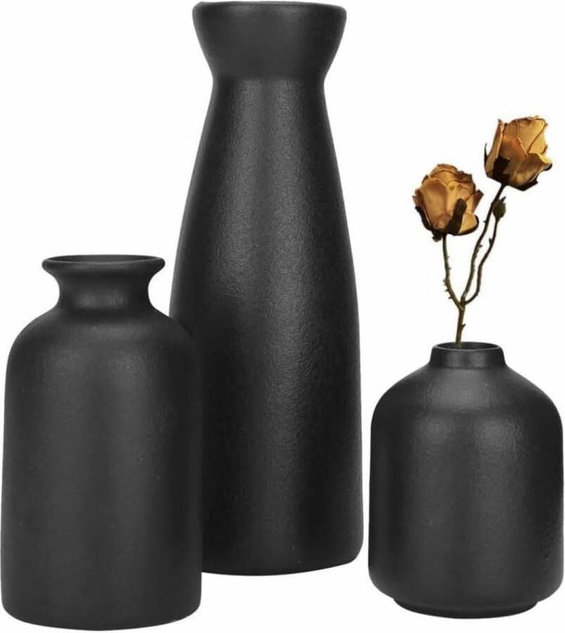 Keramische vaas set van 3 creatieve vaas moderne woondecoratie decoratieve vazen voor pampasgras en gedroogde bloemen voor woonkamers tafels boekenplanken bruiloften zwart mat kleine
