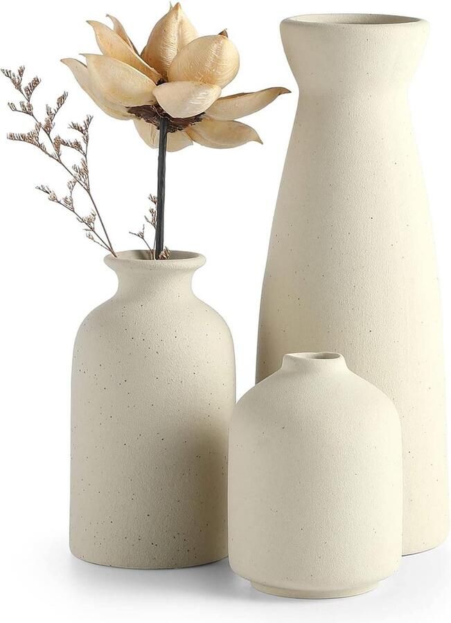 Keramische vaas set van 3 Zwarte kleine bloemenvazen voor moderne rustieke woondecoratie Decoratieve vazen voor pampagras en gedroogde bloemen Ideeënplank tafel boekenplank schoorsteenmantel ingang Noodlijdend decor
